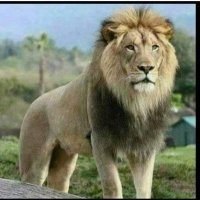 Khawaja Naeem Ahmed (@ahmed_naee93177) 's Twitter Profile