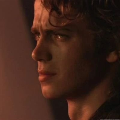 I do not fear the dark side as you do. I have brought peace, freedom, justice and security to my new empire- Anakin Skywalker, ROTS