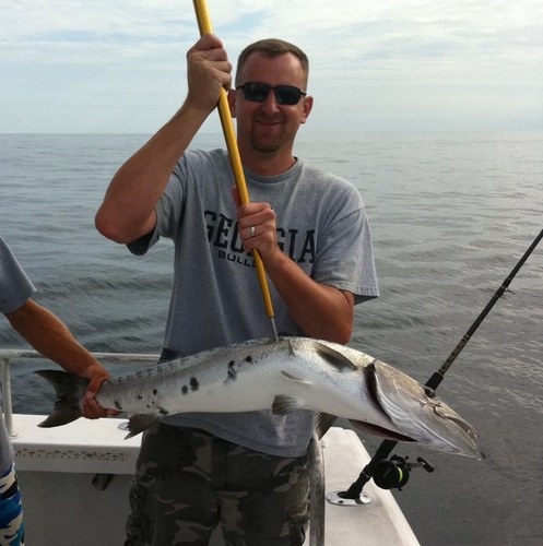 nmac76's profile picture. 