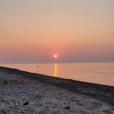 DanielK184's profile picture. Person.