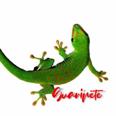 guaripetepro Profile Picture