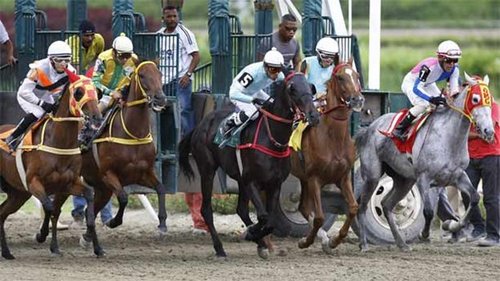 Analista hípico y deportivo. Amante del hipismo y el béisbol...