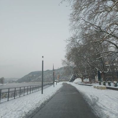 vivelavidaxxx's profile picture. 