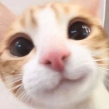 rurucatttte's profile picture. friends and mutuals only