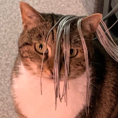 NPCEnergypouet's profile picture. French cadaver