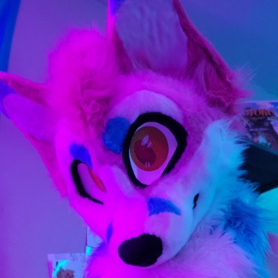 💫  puppyfox girl from norcal 💫
🔞 irl content ☆ 420 friendly ♻️ 🏳️‍⚧️ °• butt enthusiast :3 • ○ 🐾 @breedingbunnyy
☆° •° zoos / maps / minors DNI