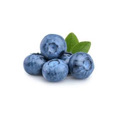 EkiAKAEko's profile picture. 💙💙💙 | They/She | Stickfigure Artist (Mainly AvM) | No Commissions 🚫 ❌️