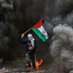 AminaRani 🇵🇸 (@amibelezza) Twitter profile photo AminaRani 🇵🇸 (@amibelezza) Twitter profile photo