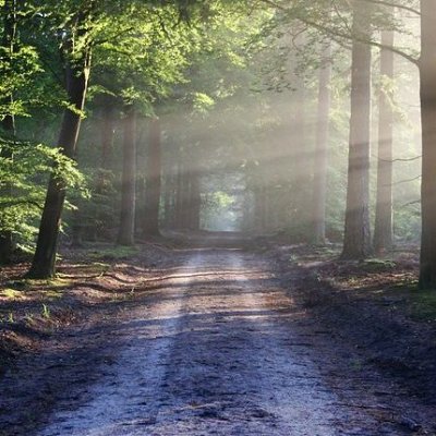 alljjdiai's profile picture. 