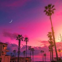 Gonzalo Schmitt (@gonzalo_sc39098) 's Twitter Profile