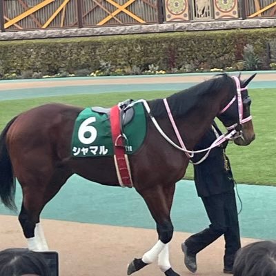 umakawa_labo's profile picture. 知り合い向け主に中央競馬重賞予想 2025年目標:地方交流重賞現地観戦 推し馬:(現役)シャマル、ライラック/(引退)フェアリーポルカ、スマートアペックス、ラヴェル 推し競馬新聞:馬サブロー 推しパドック解説:米満氏(競馬ブック) POGは赤派