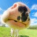 Jeffrey Deeringโ ๐ต๐ธ ๐บ๐ฆ (@jeffrey_deering) Twitter profile photo Jeffrey Deeringโ ๐ต๐ธ ๐บ๐ฆ (@jeffrey_deering) Twitter profile photo