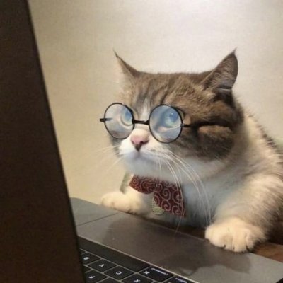 Virtual Cat