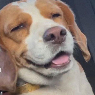 ausamruan's profile picture. Part-time Trader