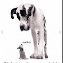 stephan bauer - @BauerStephan - Twitter