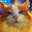 Anders Hallberg - @borntorun1969 - Twitter