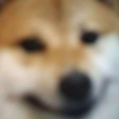 TheRcG123's profile picture. 