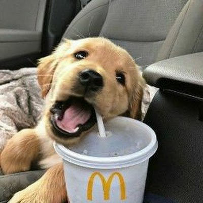 itsme63711's profile picture. 