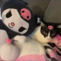 Eula Schroeder (@eulaschroe15760) 's Twitter Profile