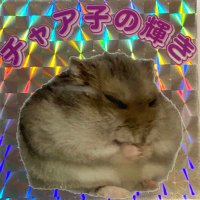 チャア子の輝き✴︎フトシも照らす (@chaconokagayaki) 's Twitter Profile Photo チャア子の輝き✴︎フトシも照らす (@chaconokagayaki) 's Twitter Profile Photo
