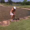 diane wheat - @DianeWheat - Twitter