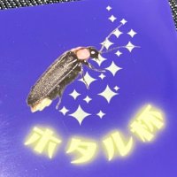 take@蟲神器公認サポーター (@take_mushijingi) 's Twitter Profile