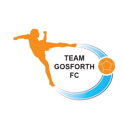 Official twitter account of Team Gosforth Football Club | Est. 2013 | #TeamGosforthFC 🟠⚫️