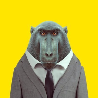 KamazXB1's profile picture. #BTC Trader |
16 Years old |
Nothing I post is financial advice