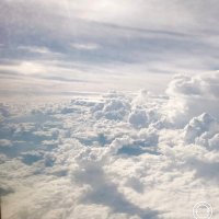 ゆるる (@qwixcflsfpy0zcg) 's Twitter Profile