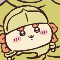 ㅇㅋㄴ (@wankochan__sh) 's Twitter Profile
