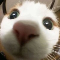 laura 😮‍💨 (@lauraaa13_) 's Twitter Profile Photo