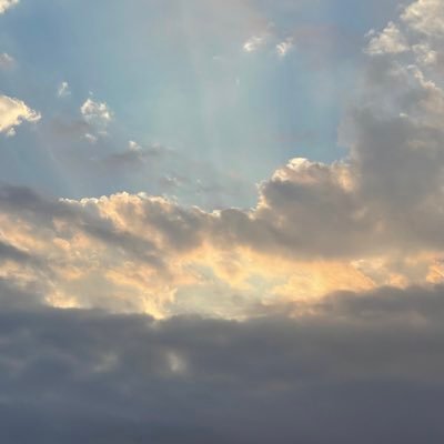 segasov's profile picture. 💭