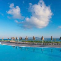 T (@efcl2948) 's Twitter Profile