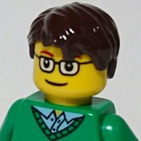 Shintaro(@legopuipui) 's Twitter Profile Photo