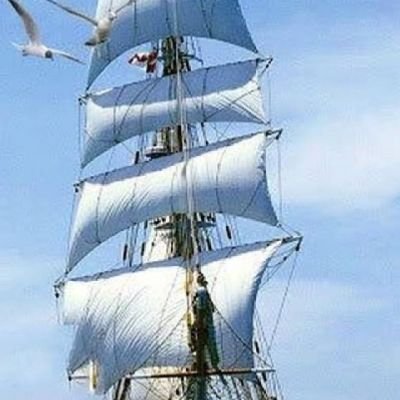 aayvazoglu's profile picture. aayvazoglu@gmail.com