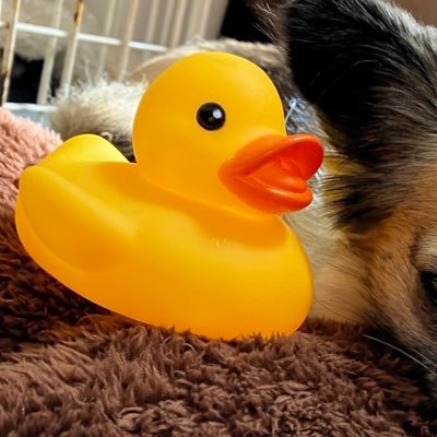 nanamiri0618's profile picture. 