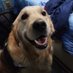Lesley Oberbrunner (@loberbrunn30582) Twitter profile photo Lesley Oberbrunner (@loberbrunn30582) Twitter profile photo