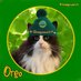 Gloria (mum) Oreo (floof) F (@OreoGloria) Twitter profile photo