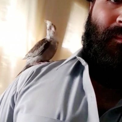 bulbulebismill's profile picture. اس سے پہلے کہ کسی رسم پہ وارے جائیں - آ کسی شوق کی تکمیل میں مارے جائیں
