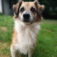 Małgorzata (@magorza36646614) 's Twitter Profile