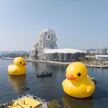 Ching🐳死地與後生さんのプロフィール画像