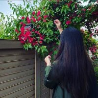 Dorthy Bergstrom (@bergstromd5553) 's Twitter Profile