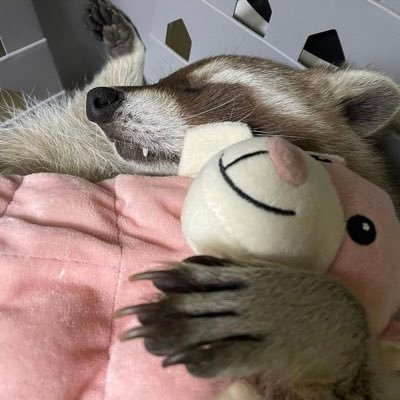 탐さんのプロフィール画像