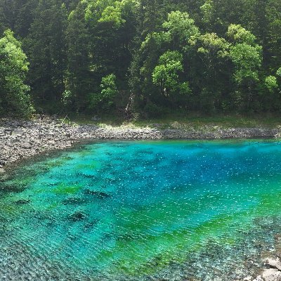 Rishipa69655313's profile picture. 