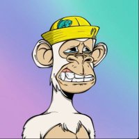 Erling Bradtke (@bradtkeerl48994) 's Twitter Profile