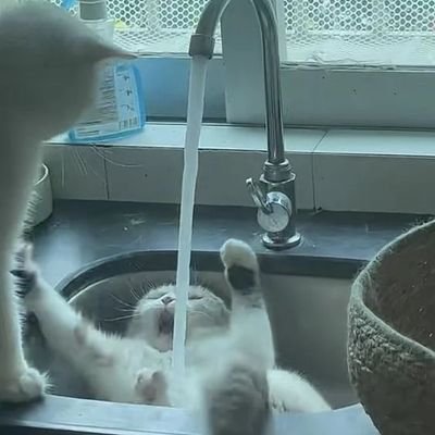 .さんのプロフィール画像