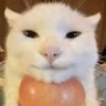 totedilegamer's profile picture. if anything weird pops up in my feed because of you im blocking you