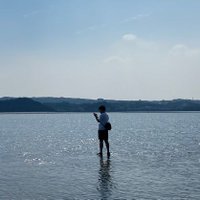 tiki (@honoichipapacam) Twitter profile photo