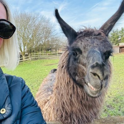 amykburns11's profile picture. Views my own.