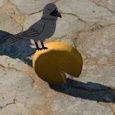 reg_546's profile picture. 趣味だらけ人間。たまにポストします。
プライベート用です。
必要あれば遠慮なく連絡ください